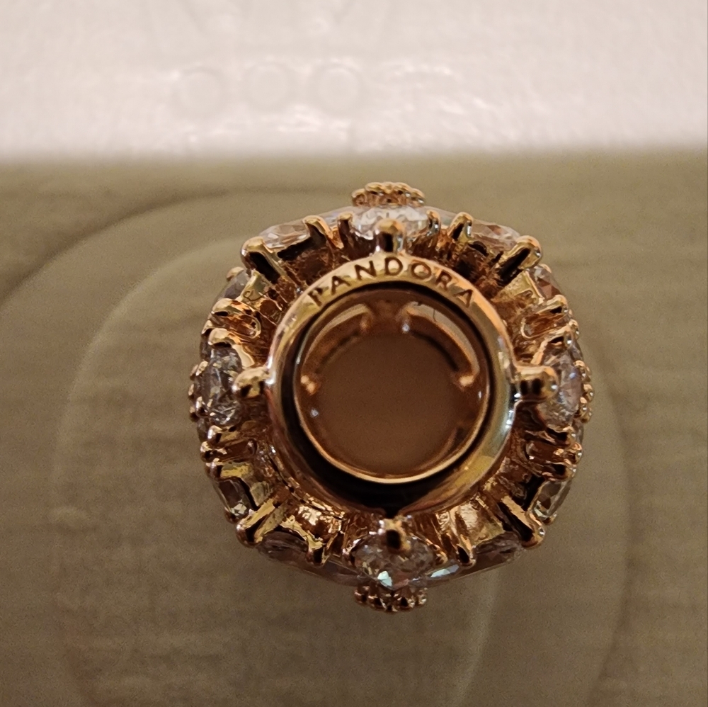 Pandora Sparkling Herbarium Cluster Round Charm - Picture 13 of 15